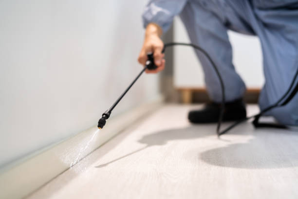 Licensed Pest Control service in Ridgeway, AK - Show Me Pest Control