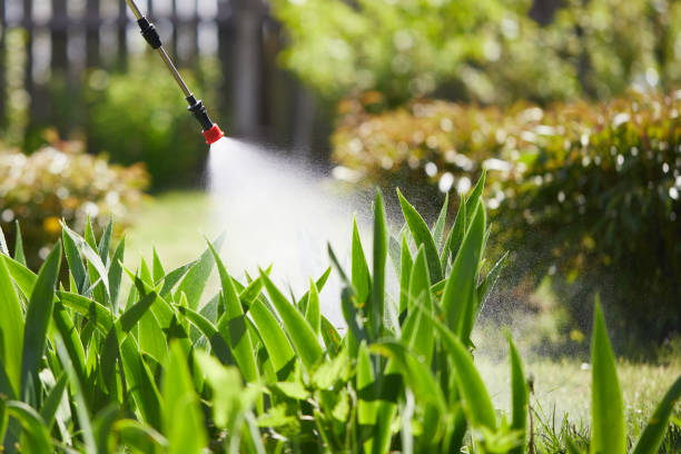 24/7 Emergency Mosquito Control experts in Ridgeway, AK
